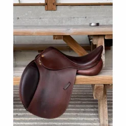 📌 À VENDRE – Selle Éric Thomas mixte 17” + sangle & étrivières