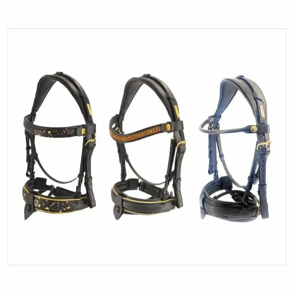 3 Filets en 1 ergonomique