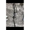 2 gogues