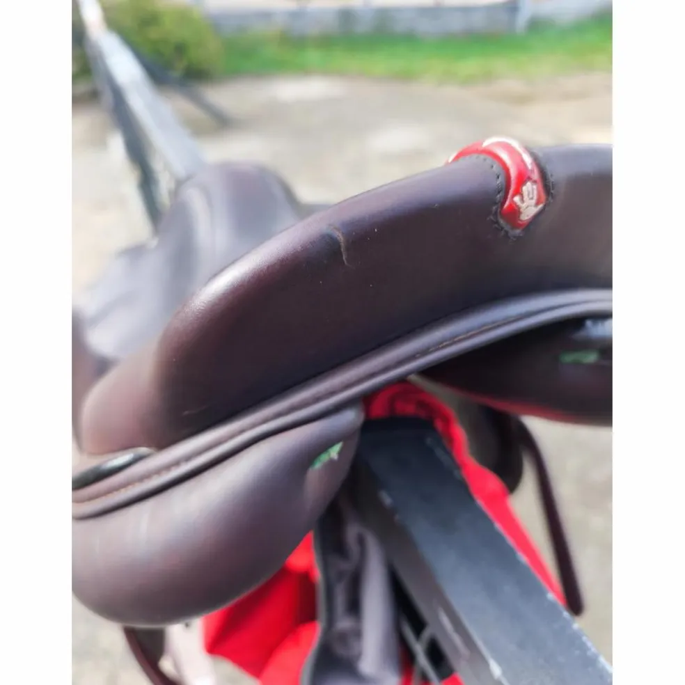 À VENDRE : Selle Équipe Évolution Spéciale – 17,5 pouces