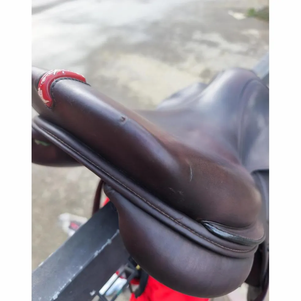 À VENDRE : Selle Équipe Évolution Spéciale – 17,5 pouces