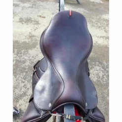 À VENDRE : Selle Équipe Évolution Spéciale – 17,5 pouces