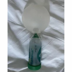 Aerohippus