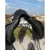 Albion K2 Legend Dressage Noire 17,5 MW