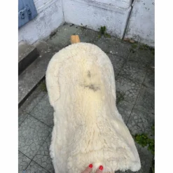 amortisseur blanc
