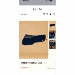 amortisseur gem