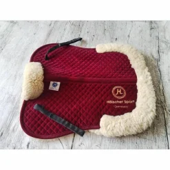 Amortisseur holscher sport
