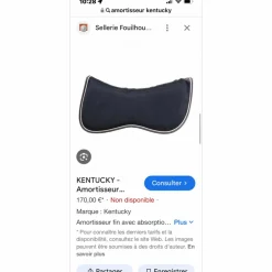 amortisseur Kentucky