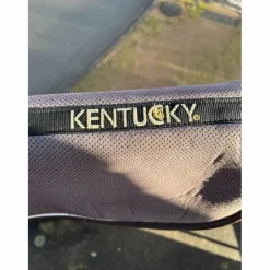 Amortisseur kentucky gris