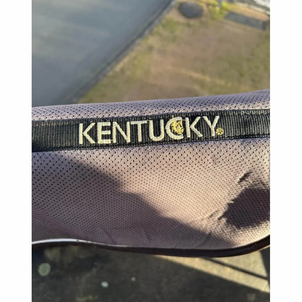 Amortisseur kentucky gris