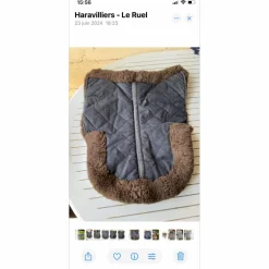 Amortisseur mouton