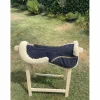 Amortisseur Mouton Horze
