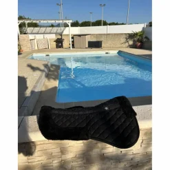 Amortisseur noir RW