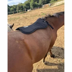 Amortisseur Waldhausen noir