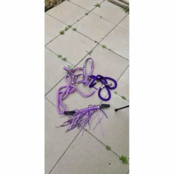 assortiment taille poney violet
