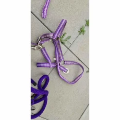 assortiment taille poney violet