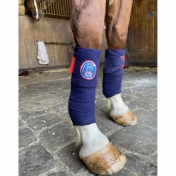 bande polo