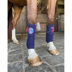 bande polo