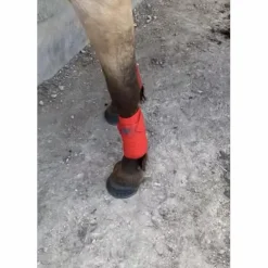 Bandes de polos
