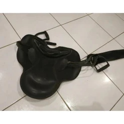 Bardette Wintec tout équipée