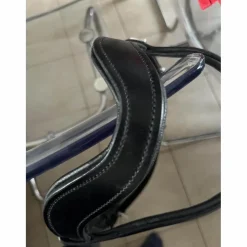 Bitless bridle , bride sans mors