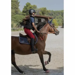 💘Bombe equitheme ! 💘