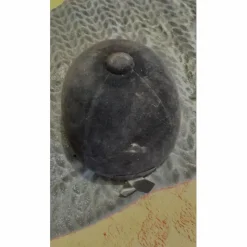 bombe noir velours noeu