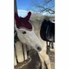 Bonnet bordeaux