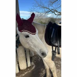 Bonnet bordeaux