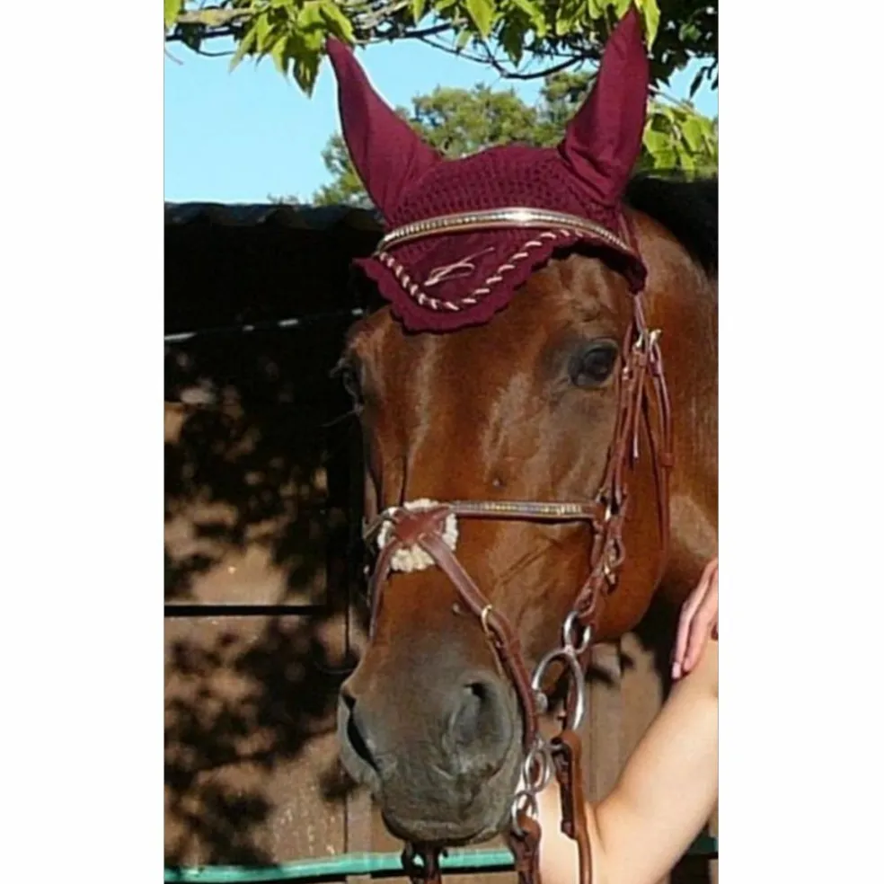 Bonnet bordeaux taille poney