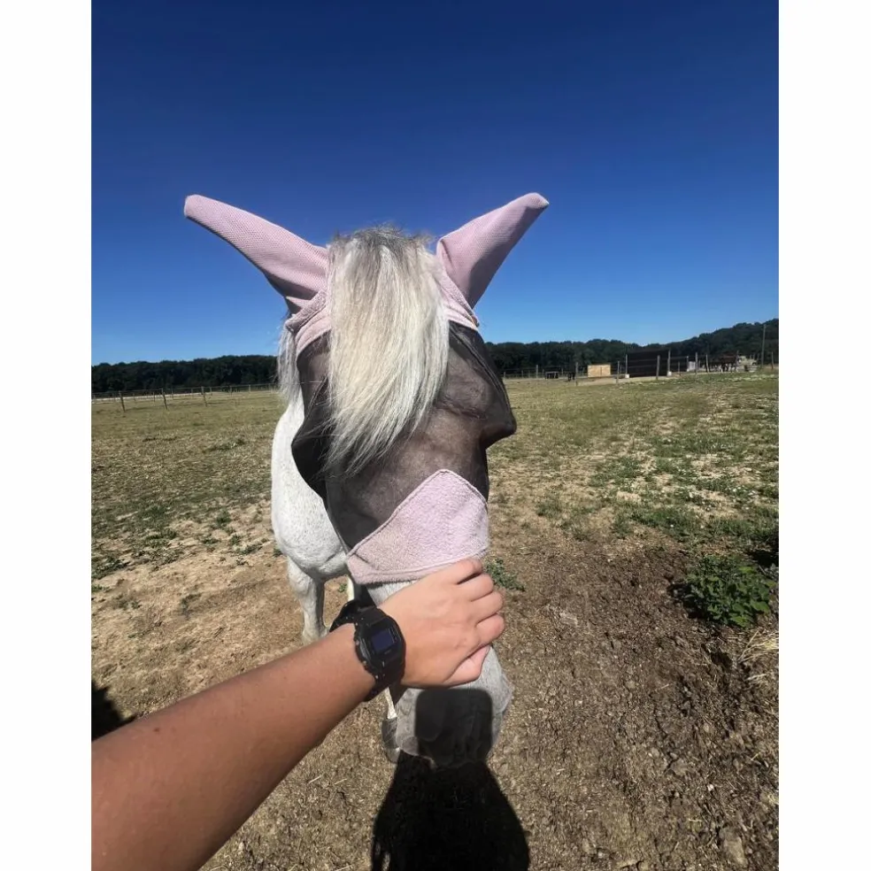 bonnet cheval