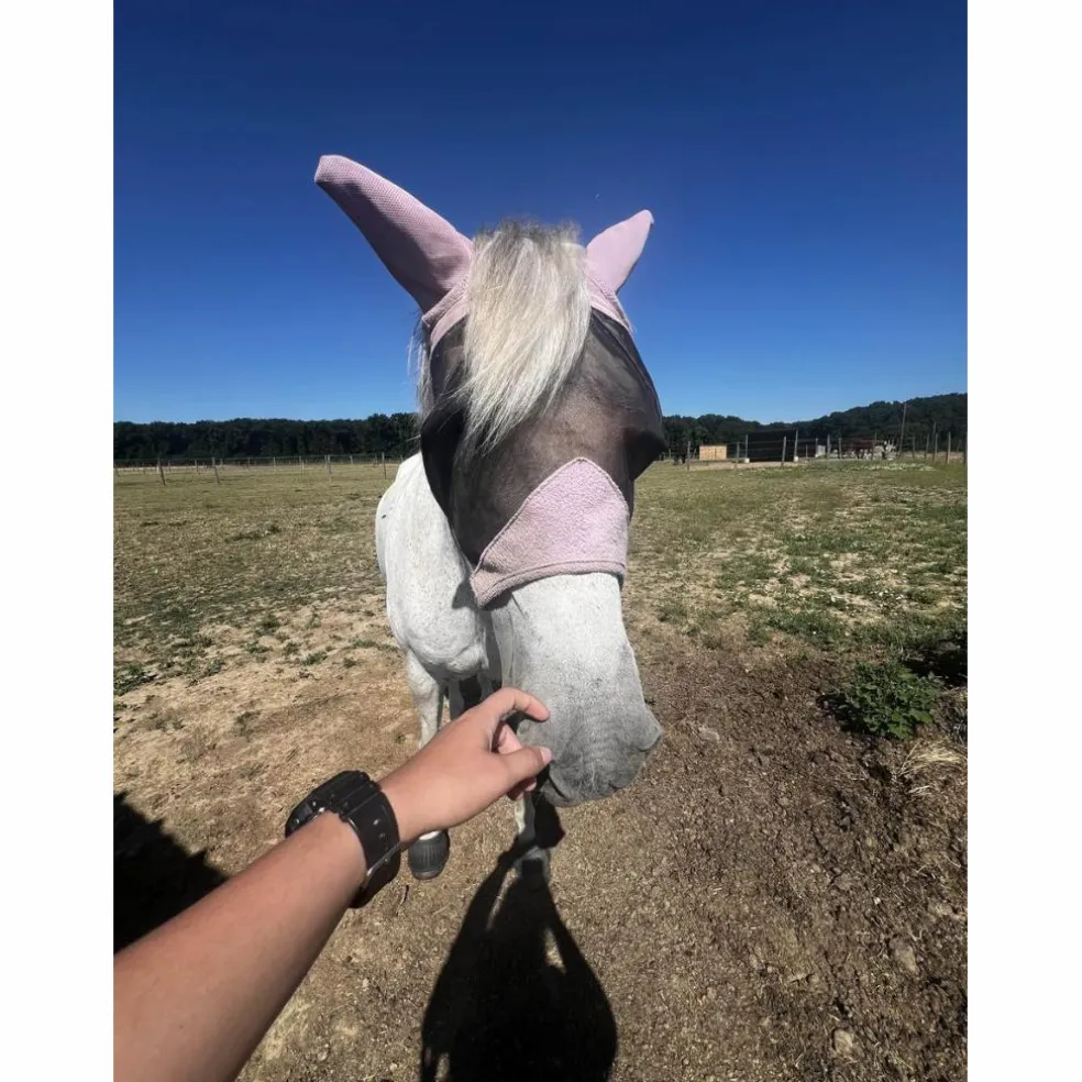 bonnet cheval