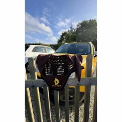 bonnet destrier marron