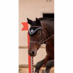 Bonnet Eskadron