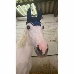 Bonnet kentucky