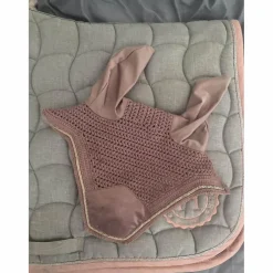bonnet Kentucky rose pal e