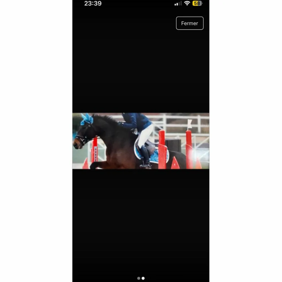 Bonnet paddock sport