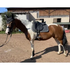 bonnet résille
