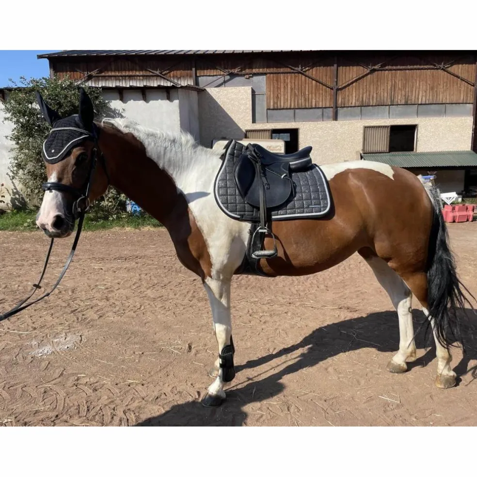 bonnet résille