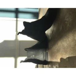 Boots d’équitation