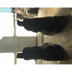 Boots d’équitation