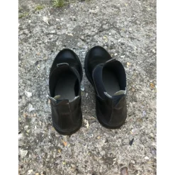 Boots en cuir Fouganza