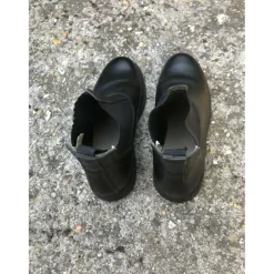 Boots en cuir Fouganza