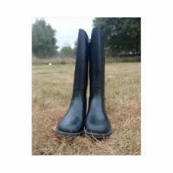 Botte