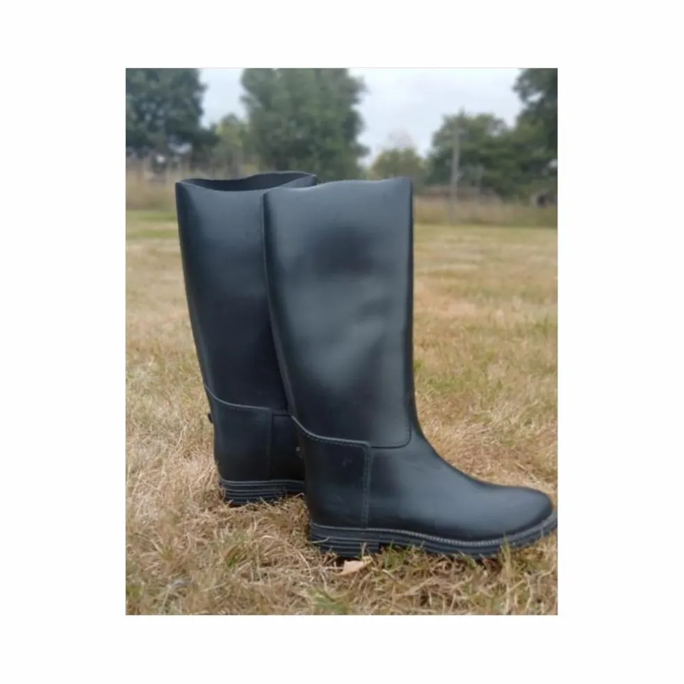Botte