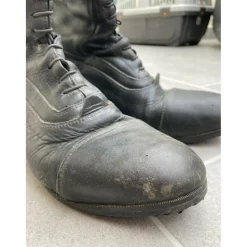Botte donatello