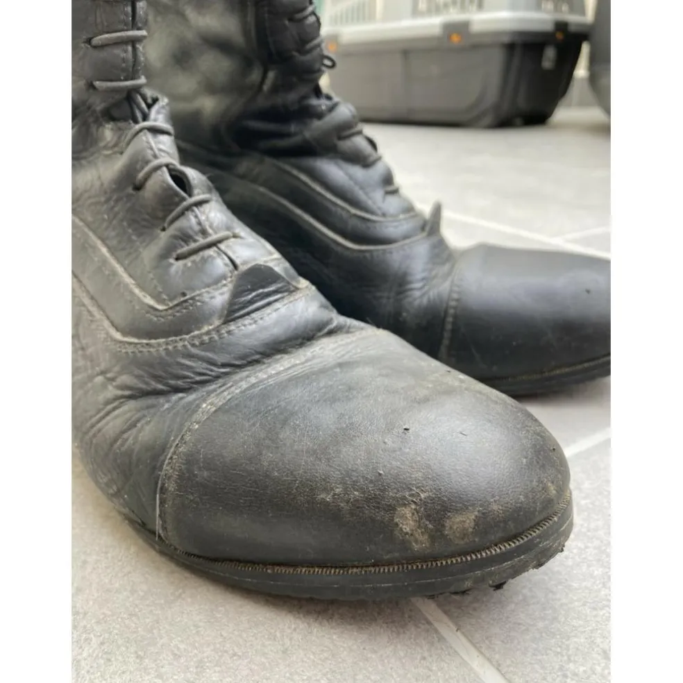 Botte donatello