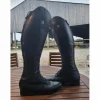 Botte Mountain Horse