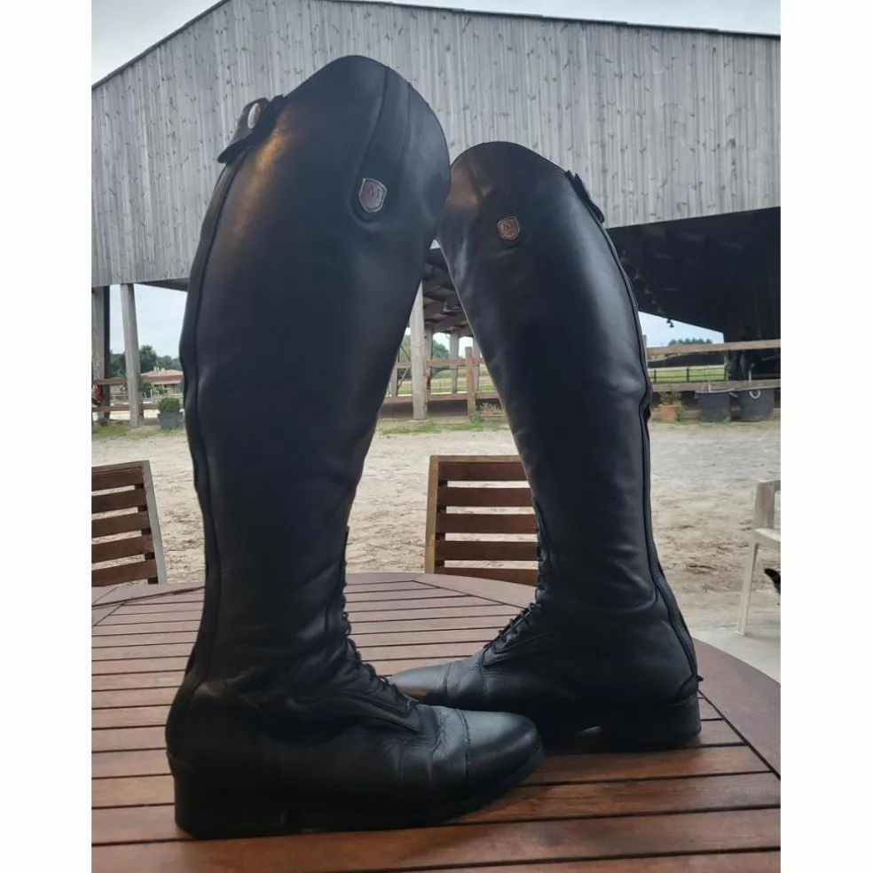 Botte Mountain Horse