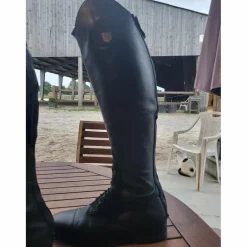 Botte Mountain Horse